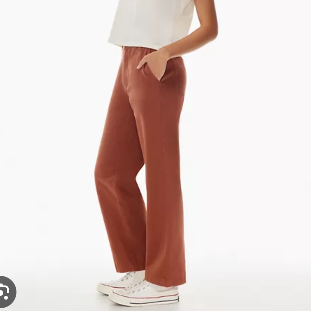 Aritzia Pants